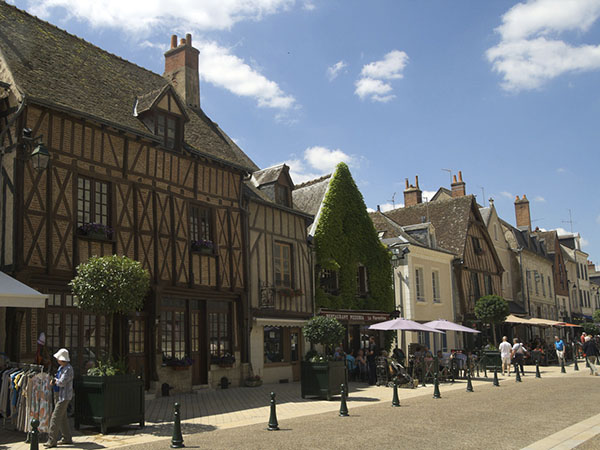 The Royal Château of Amboise and the town